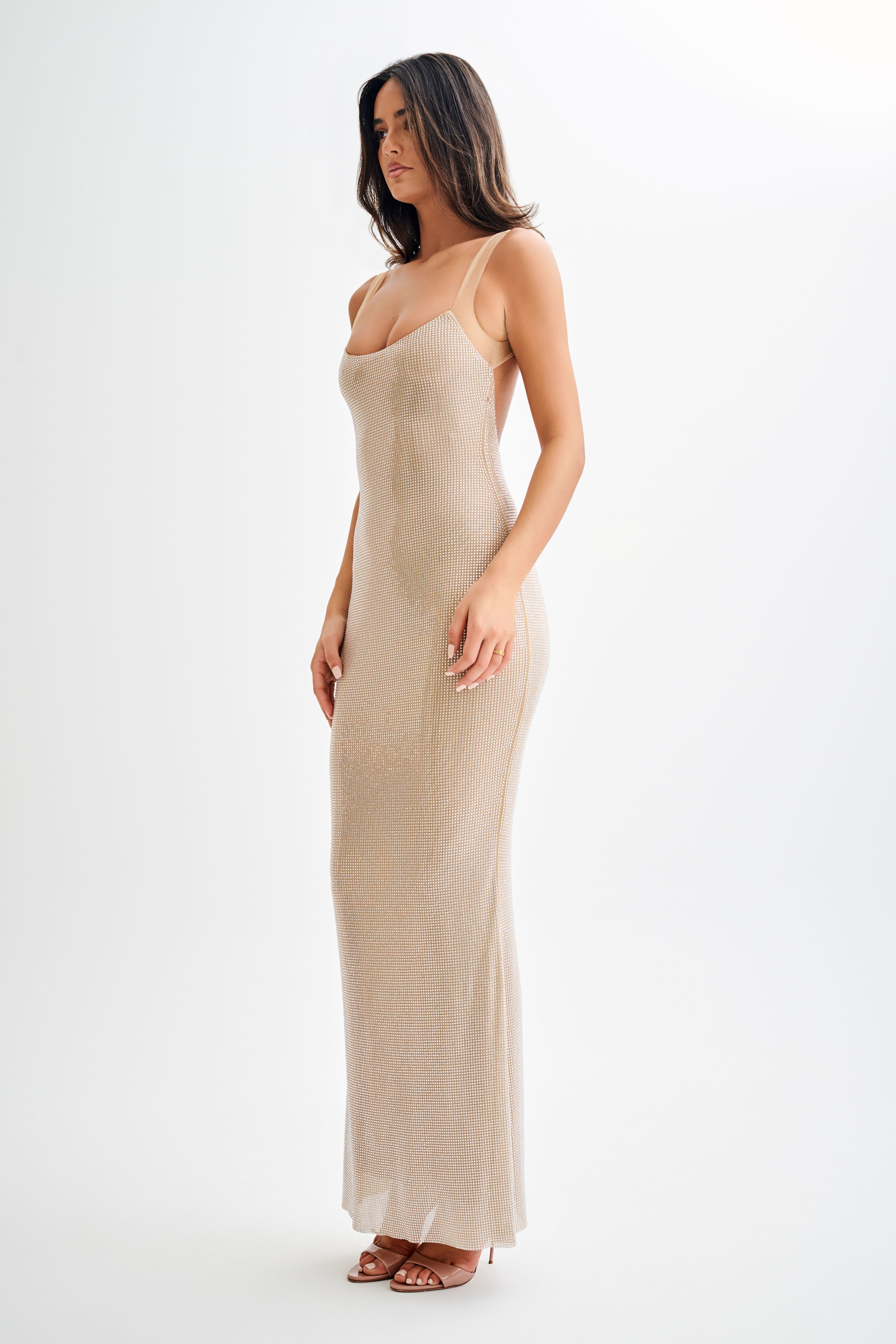 Catherine - Mesh Maxi Dress