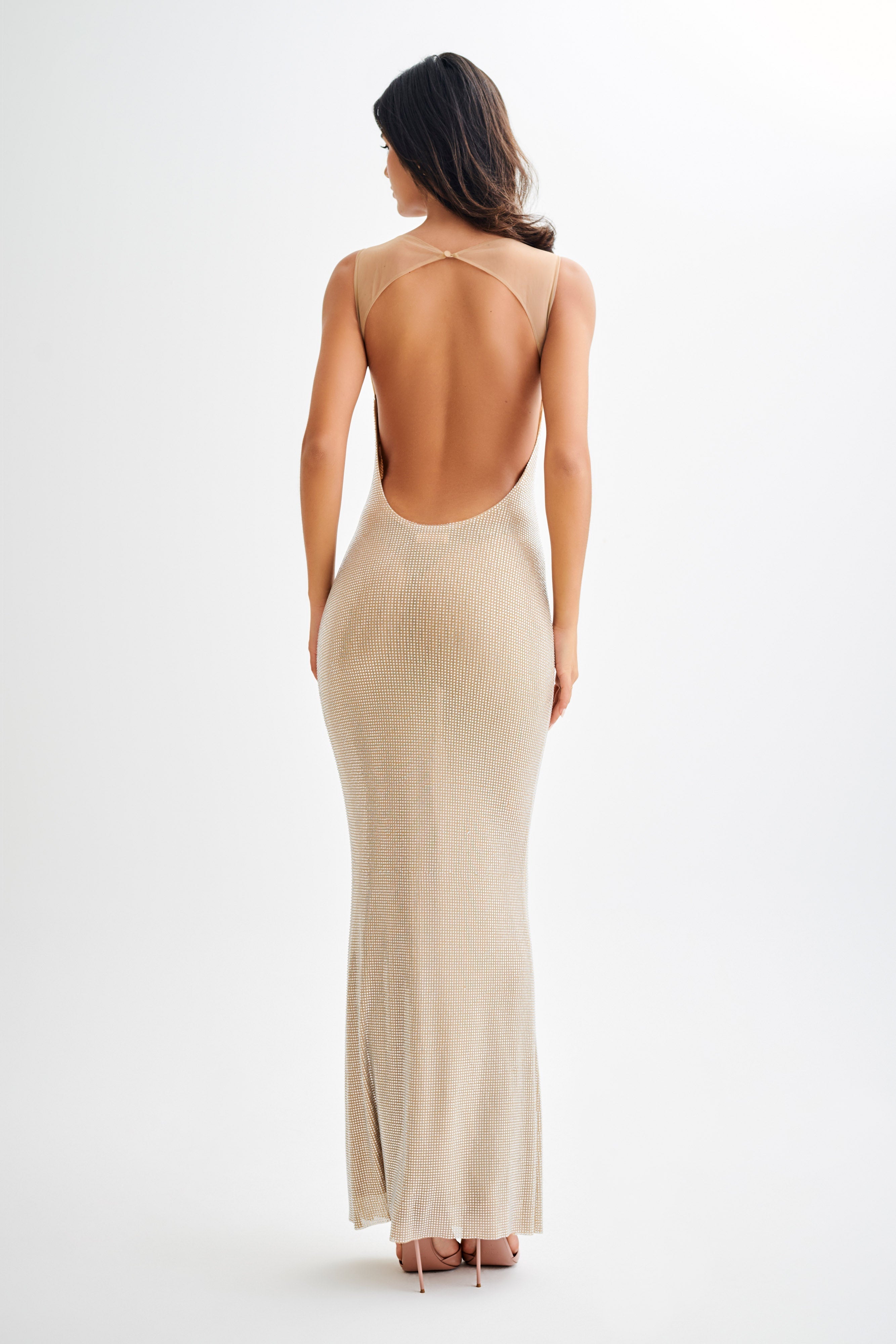 Catherine - Mesh Maxi Dress