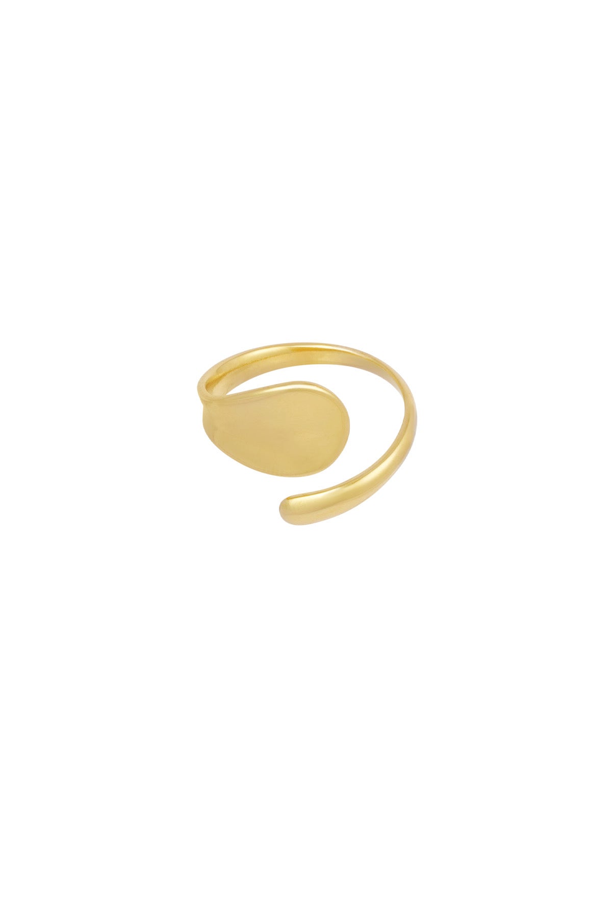 Lot ring | Gold