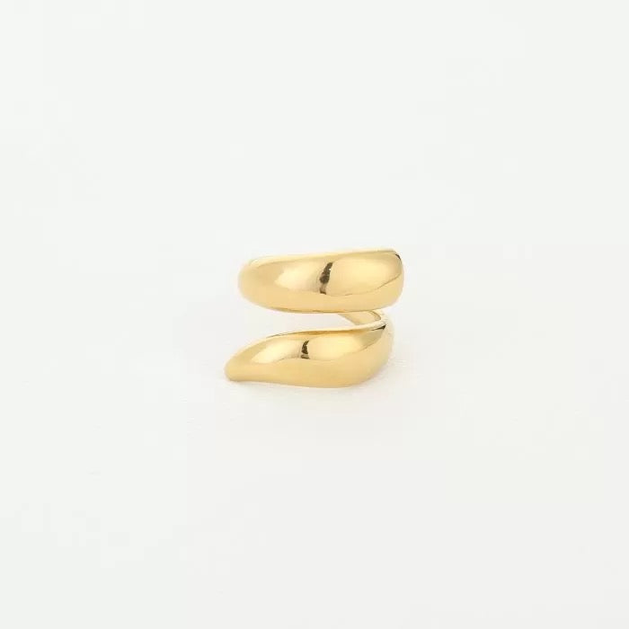 Willemijn ring | Gold