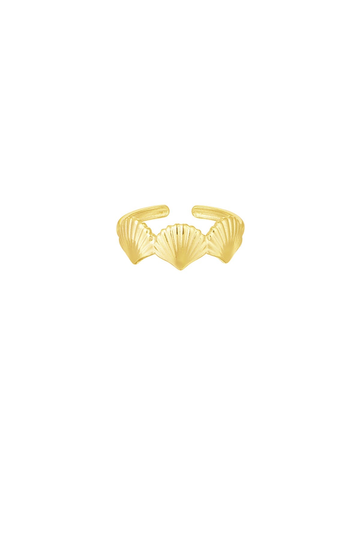 Sea shell | Gold